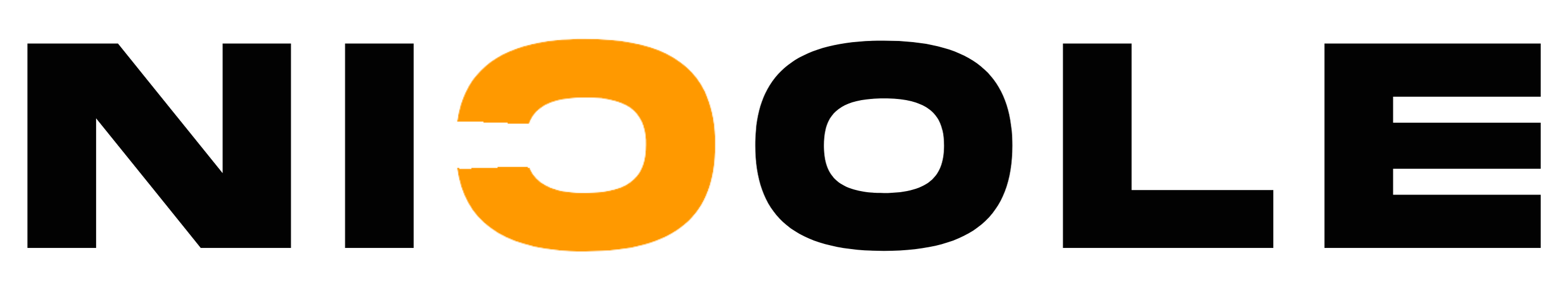 Nicole Sassi logo