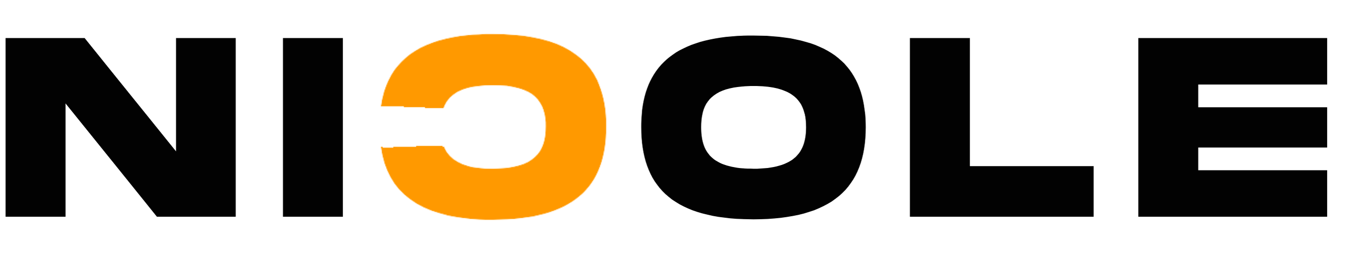Nicole Sassi logo